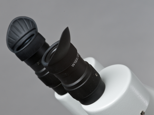 Equipped with a high quality 10 x stereo microscope